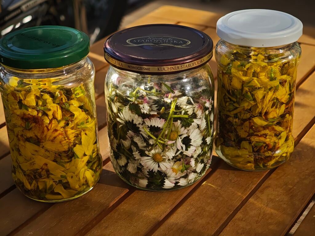 wyciągli roślinne olejowe i glicerynowe, surowce botaniczne w słoikach